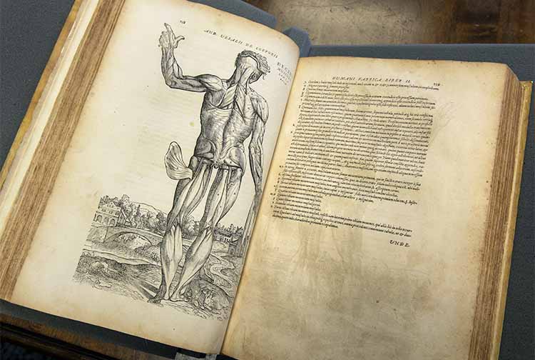16th century medical textbook open to an illustration