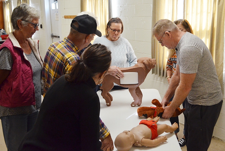 A group of people use dog and baby mannequins and a stuffed dog to practice hands-only CPR.