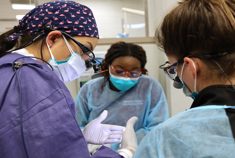Addressing economic barriers to teaching, VCU School of Dentistry awarded nearly $1M grant for faculty loan repayment
