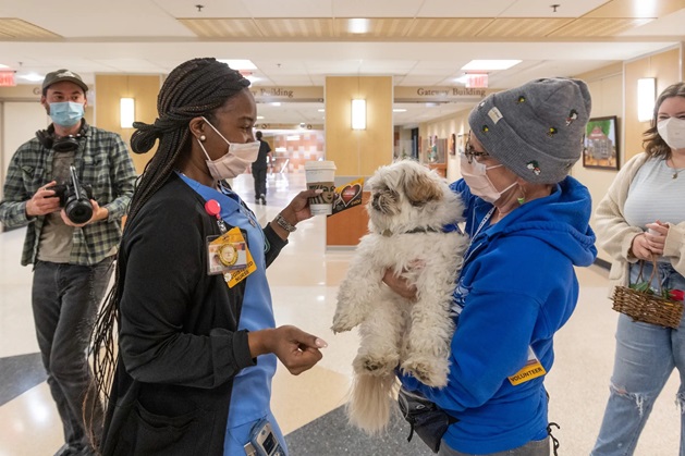 Registered nurse meets a member of the Dogs on Call team