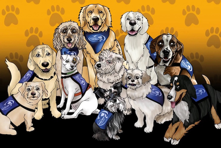 11 dogs involved with VCU Dogs on Call Illustration