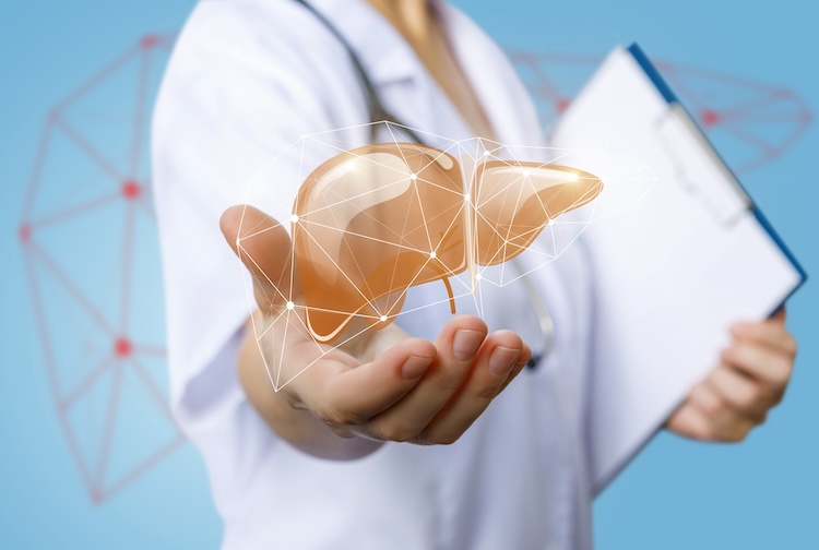 Doctor holds out 3d image of liver.