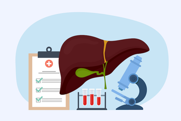 Illustration of a liver with a microscope, medicine and a medical chart.