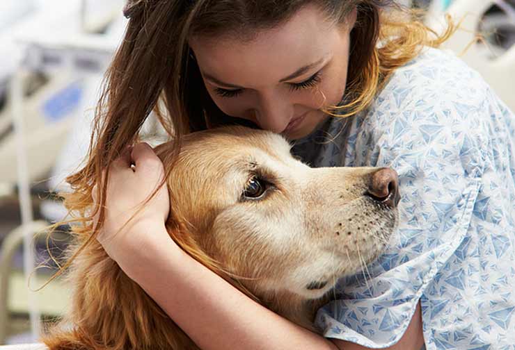 Image of therapy dog with patient 