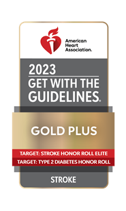 Gold, grey and red icon for 2023 Get with the Guidelines Gold Plus with the American Heart Association logo