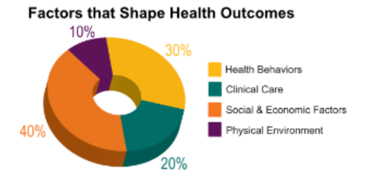 Pie chart showing the factors that shape health outcomes