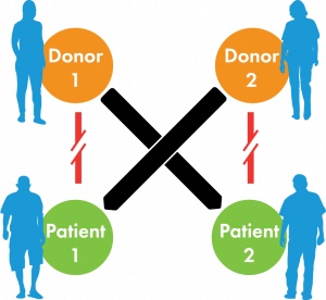 Diagram of donor to patient "paired kidney donation" or "kidney swap" process