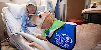 Woman in hospital bed has a smile on her face while petting a dog.