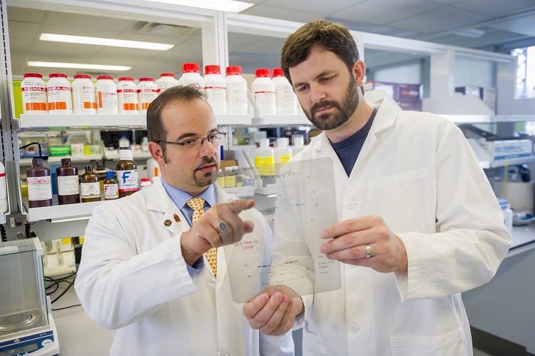 Fadi Salloum, Ph.D., (left) in the lab with David Durrant, Ph.D., (right) a former graduate student from the Department of Biochemistry and Molecular Biology