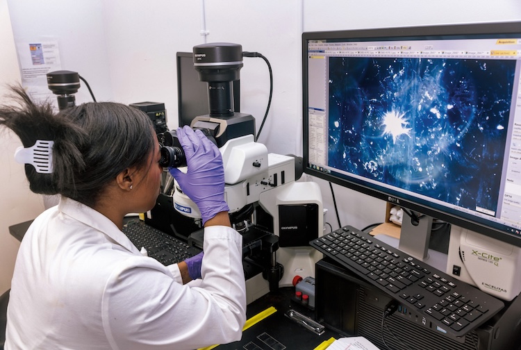 Woman looking at cells through a microscope.