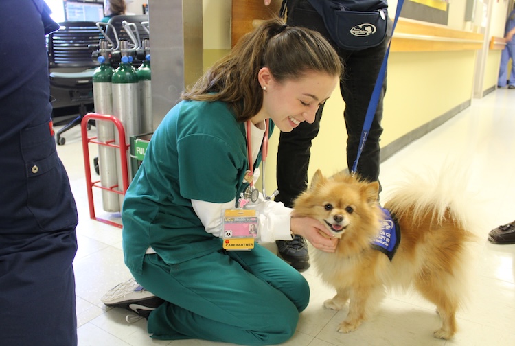 Health care worker pets a therapy dog