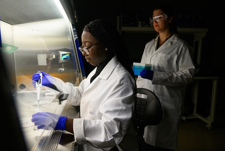 Two women testing samples in a lab.