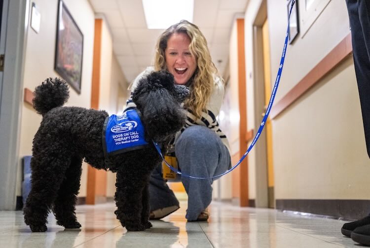 Black poodle being petted by lady in the hallway.