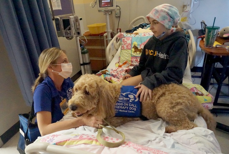 Elsa is on a bed with a child patient. Her handler is kneeling on the floor next to them.