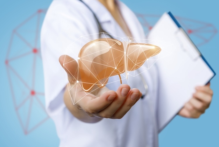 Doctor holding a clipboard and a 3-D image of a liver in their hand.