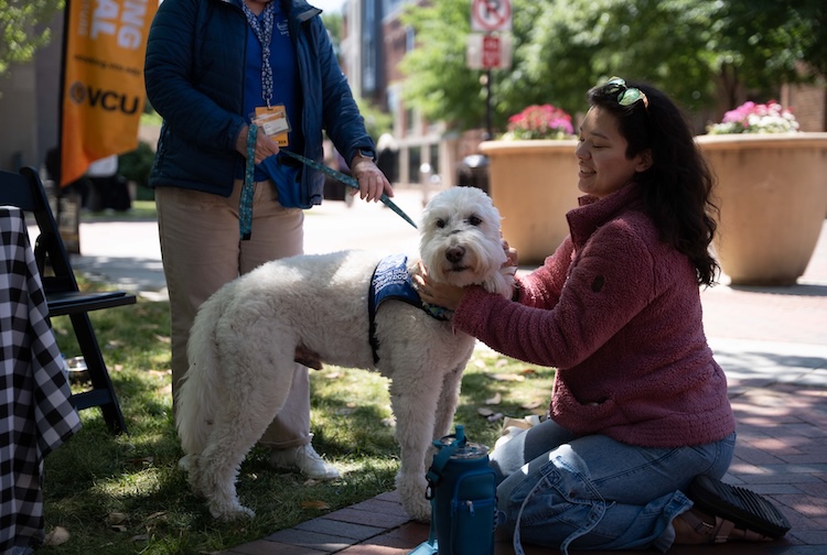 Woman pets therapy dog