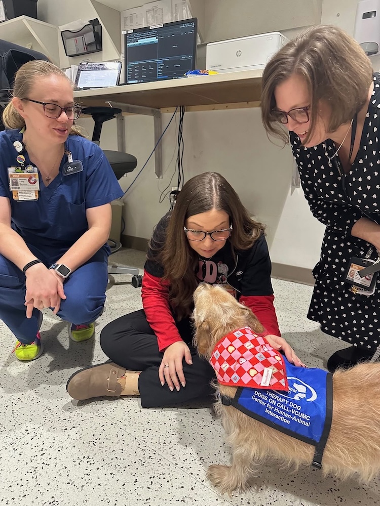 Hospital staff interact with a  therapy dog as part of the VCU Health Dogs on Call therapy program.