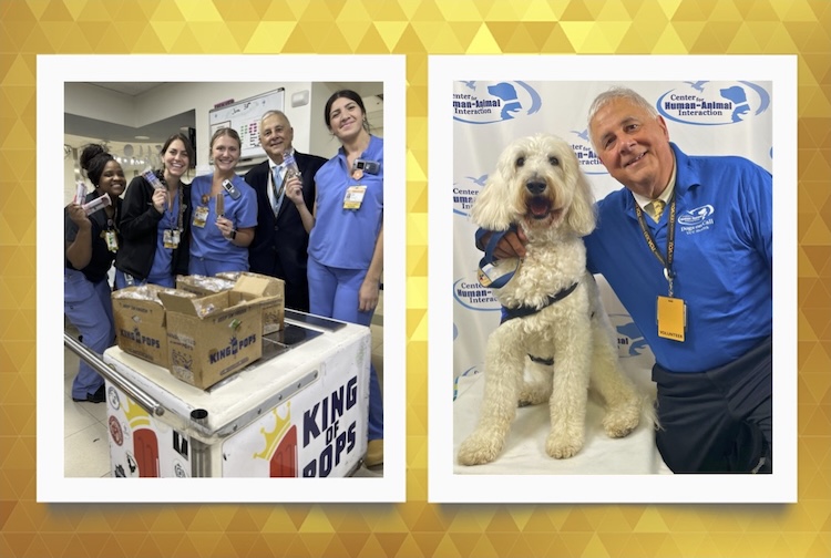 Two images in a graphic. One shows Dr. Levy doing rounds with medical professionals and handing out ice pops. The other image shows Dr. Levy with his dog.