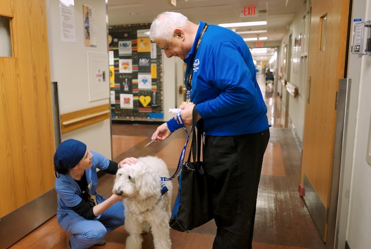 Dr. Marlon Levy hands a card to a healthcare worker with fun facts about his dog as she pets the canine.