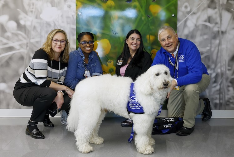 Charlie the Goldendoodle poses with a group of team members and Dr. Levy
