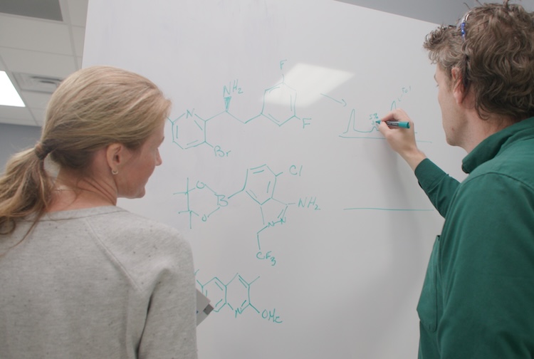 Researchers map out compounds for medications