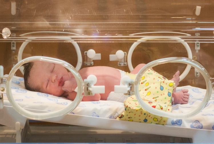 newborn in an incubator