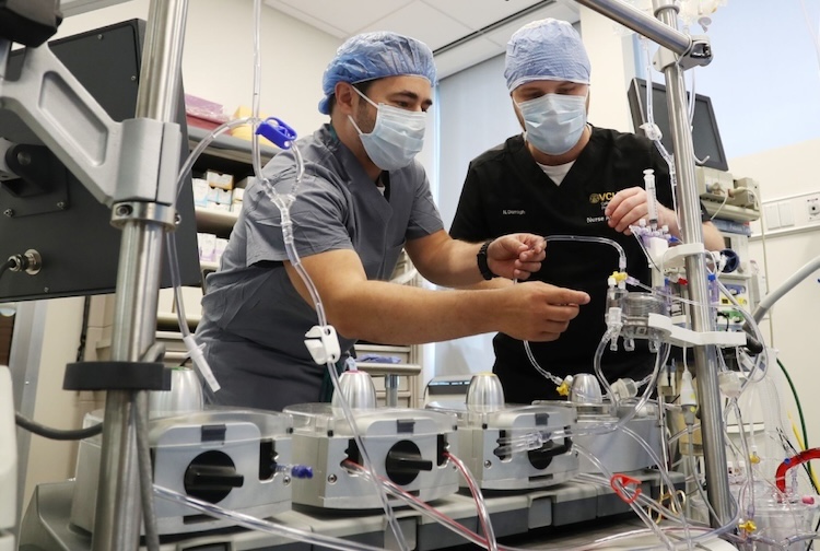 Two men with medical facemasks are operating a heart-lung machine.