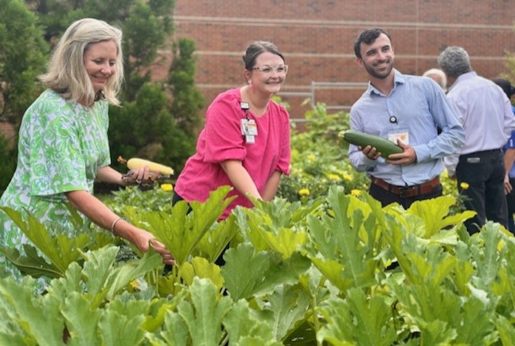 Hospital staff pick fresh produce in the community garden during the ribbon cutting celebration.