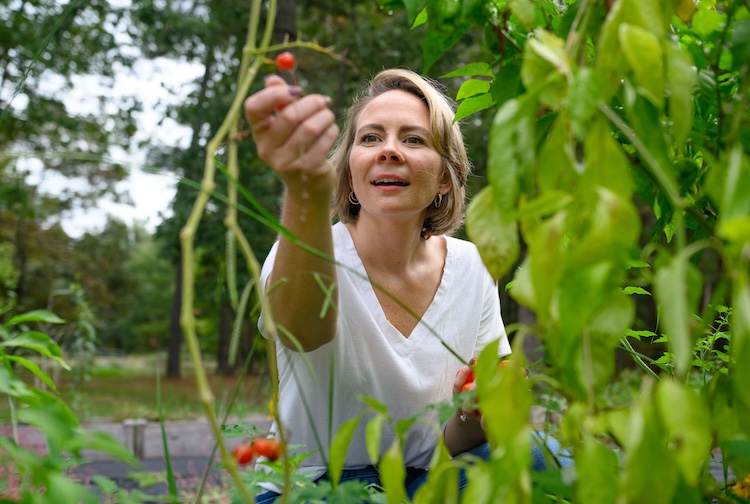 VCU Health breast cancer survivor picks berries on her family farm