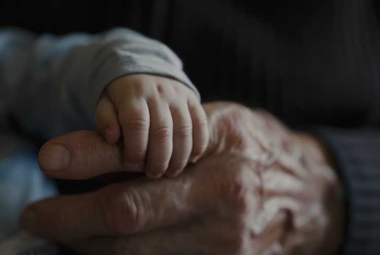 close-up of a baby boy's hand holding his grandfather's finger at home