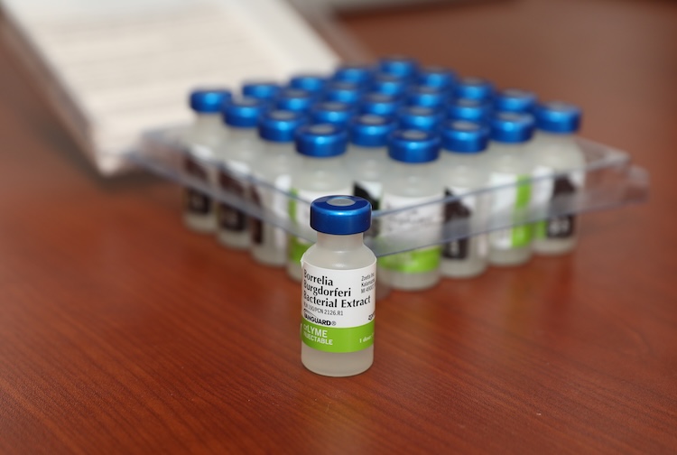 Vials of the canine Lyme disease vaccine, crLyme