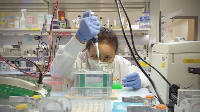 Researcher working in the dental lab