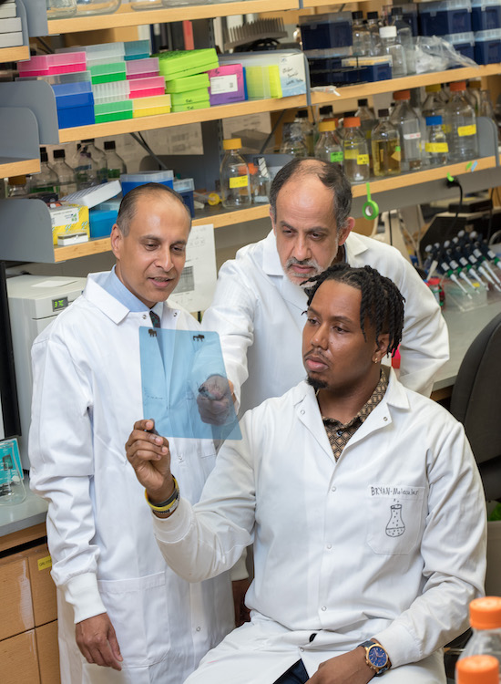 Researchers looking at a document in a lab.