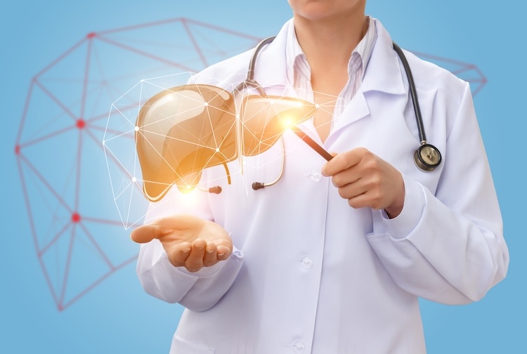 Doctor holds digital image of liver