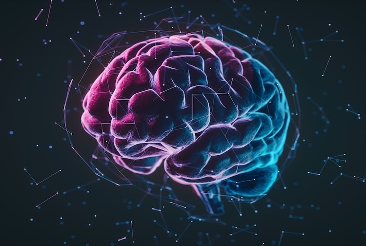 Digital human brain with connections.