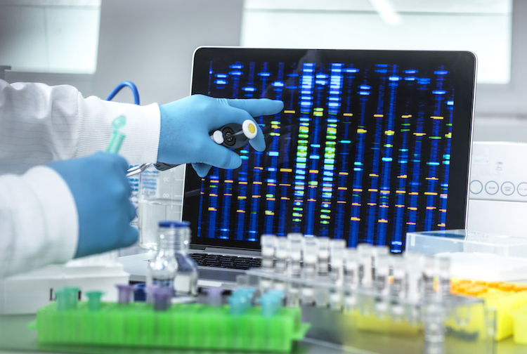 Scientist viewing DNA results from samples in the lab