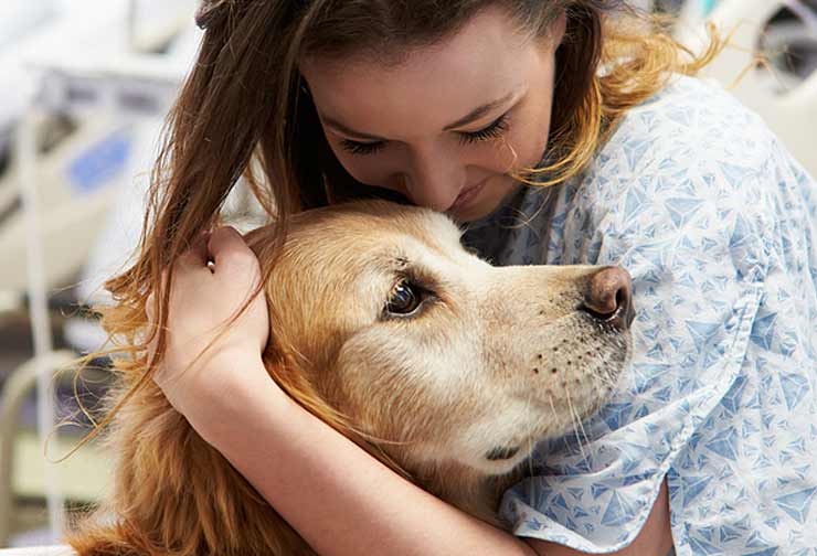Image of therapy dog with patient