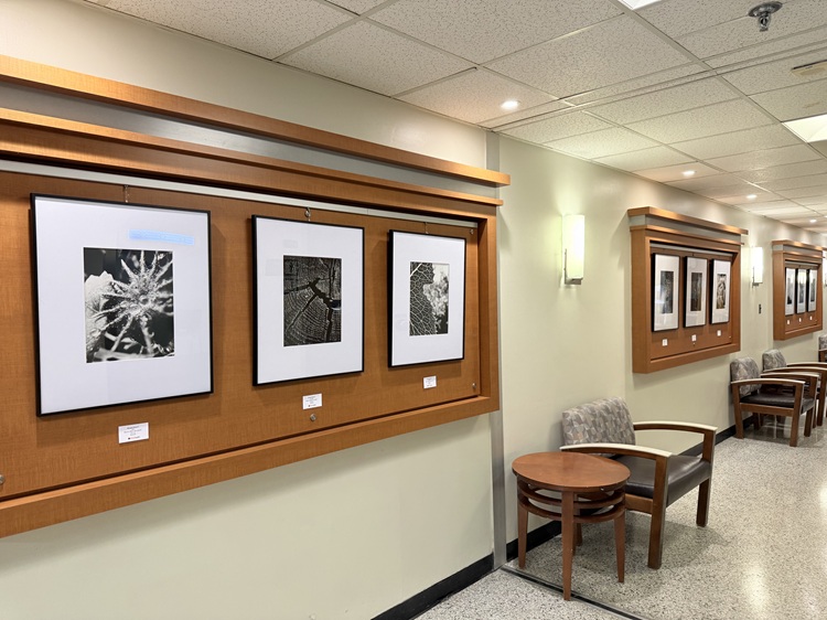 Artwork hanging in the North Hospital Ground Gallery.