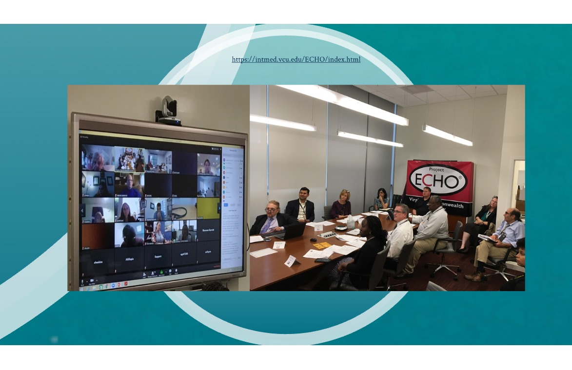 Virginia Opioid ECHO participants