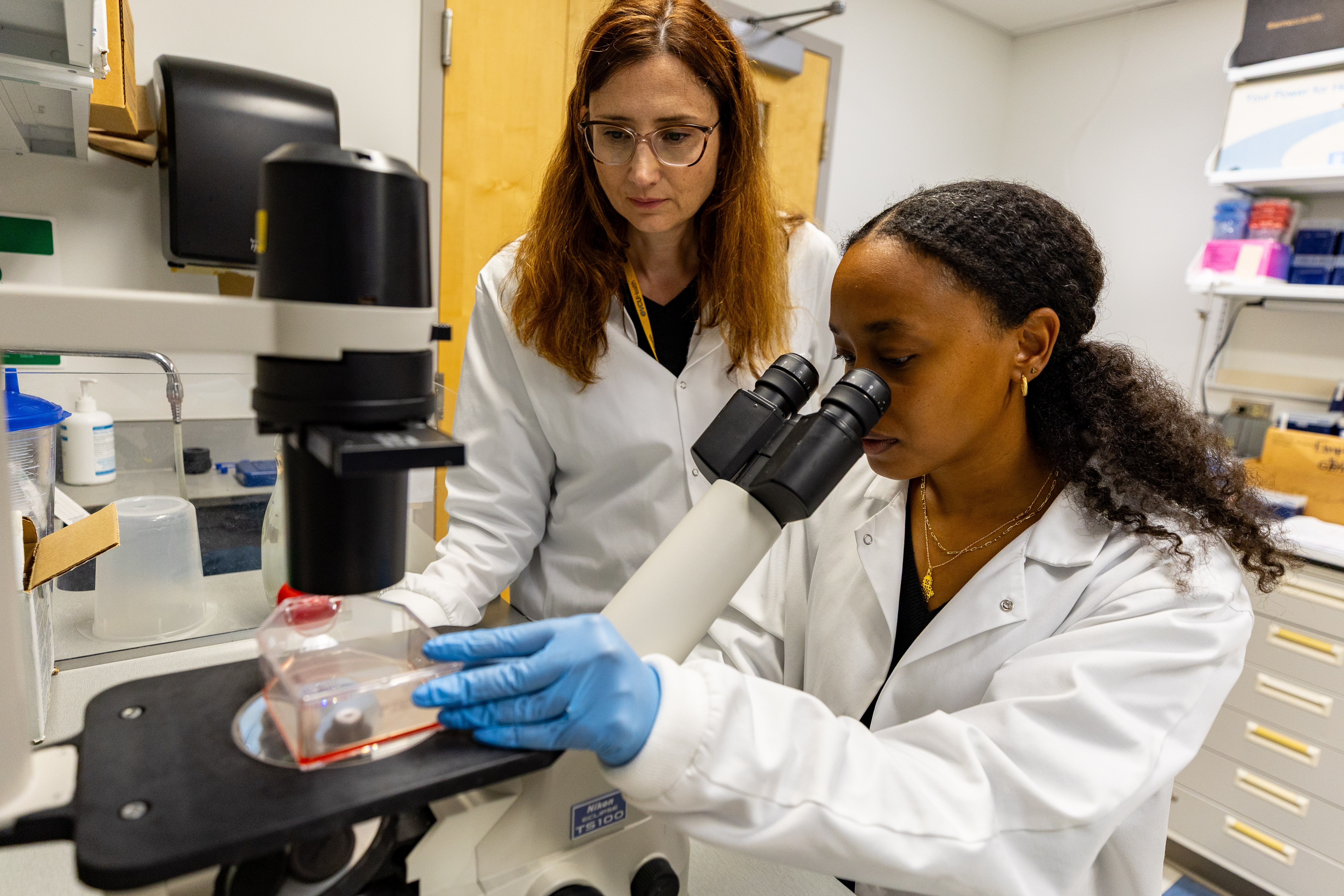 two Pauley researchers work in the lab together