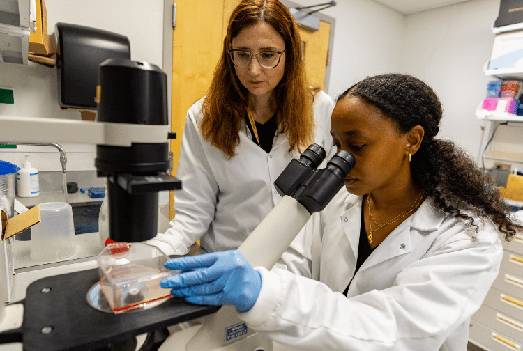Two researchers work together in a Pauley Heart Center lab.
