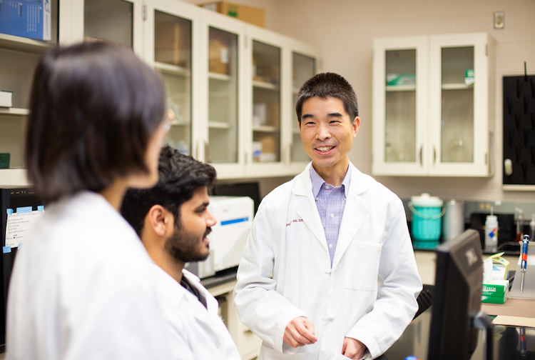 Tiny nanoparticle could have big impact on patients receiving corneal transplants